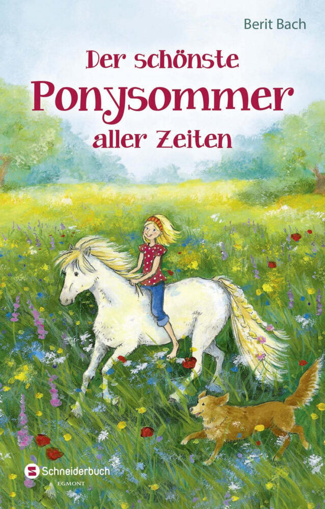 Der schönste Ponysommer aller Zeiten main product photo