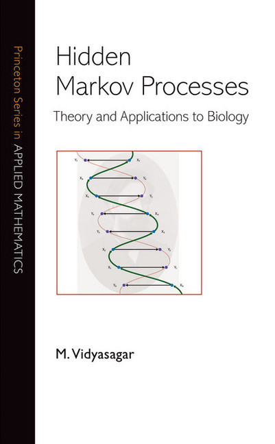 Hidden Markov Processes main product photo