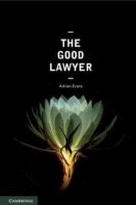 Good Lawyer