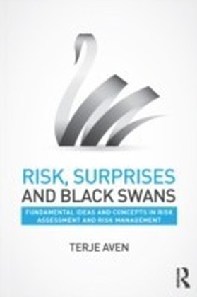 Risk, Surprises and Black Swans main product photo