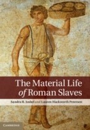 Material Life of Roman Slaves main product photo