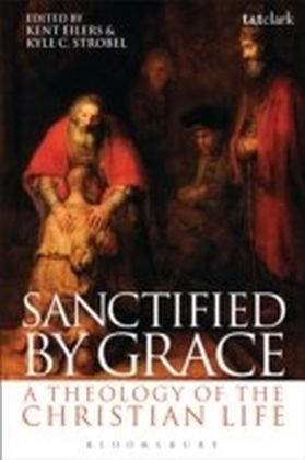 Sanctified by Grace main product photo