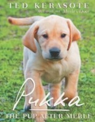 Pukka