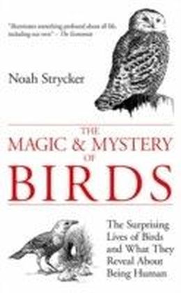 Magic and Mystery of Birds main product photo