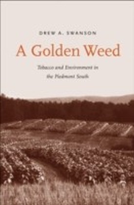 Golden Weed main product photo