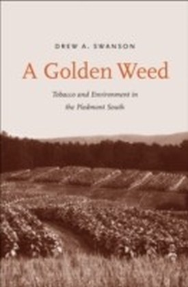 Golden Weed