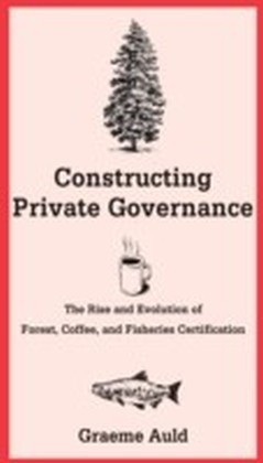 Constructing Private Governance