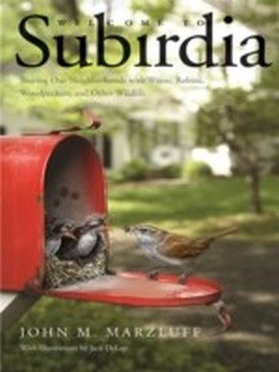 Welcome to Subirdia main product photo