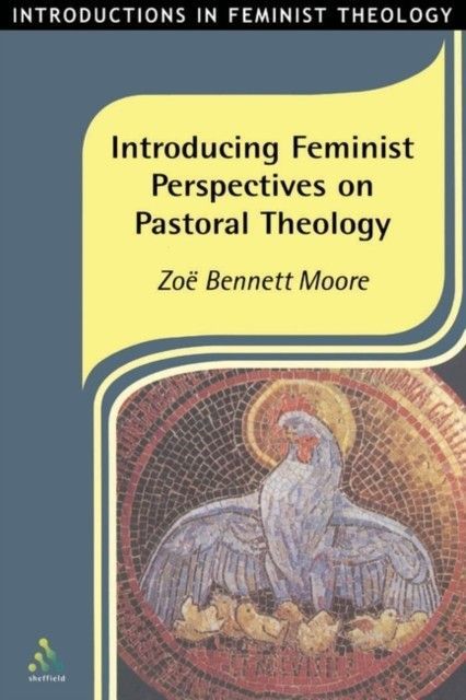 Introducing Feminist Perspectives on Pastoral Theology main product photo