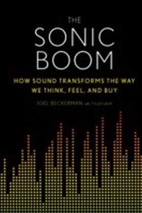 Sonic Boom main product photo