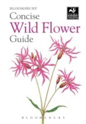 Concise Wild Flower Guide