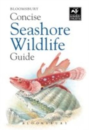 Concise Seashore Wildlife Guide main product photo