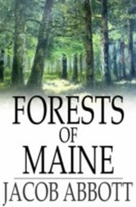 Forests of Maine