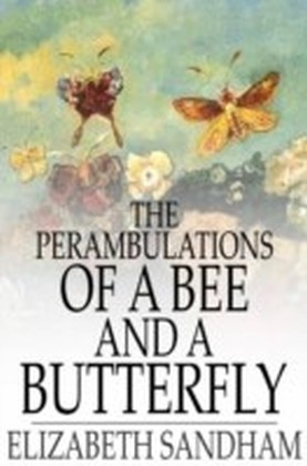 Perambulations of a Bee and a Butterfly