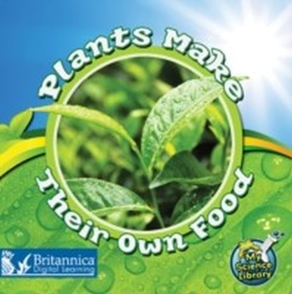 Plants Make Their Own Food main product photo