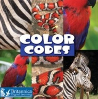 Color Codes