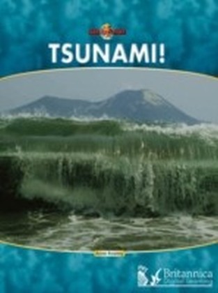 Tsunami! main product photo