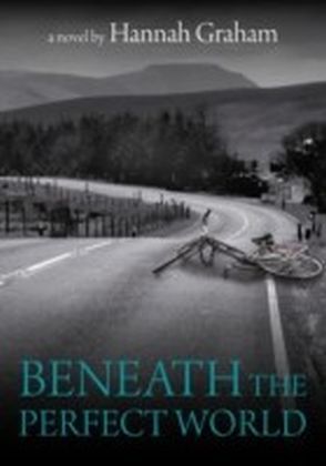 Beneath the Perfect World main product photo