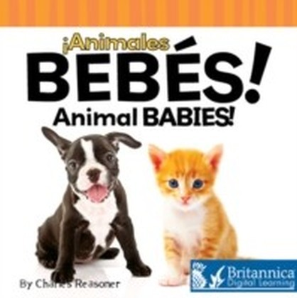 Animales bebes (Animal Babies) main product photo