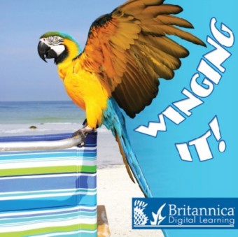 Winging It!