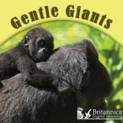 Gentle Giants main product photo