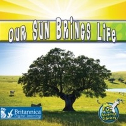 Our Sun Brings Life main product photo