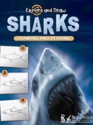 Sharks