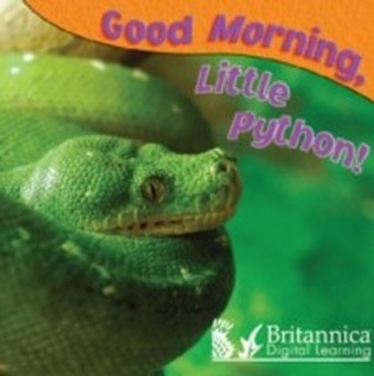 Good Morning, Little Python!