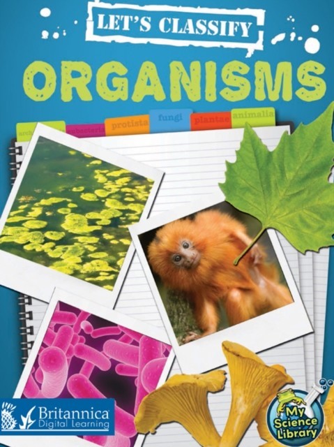 Let's Classify Organisms main product photo
