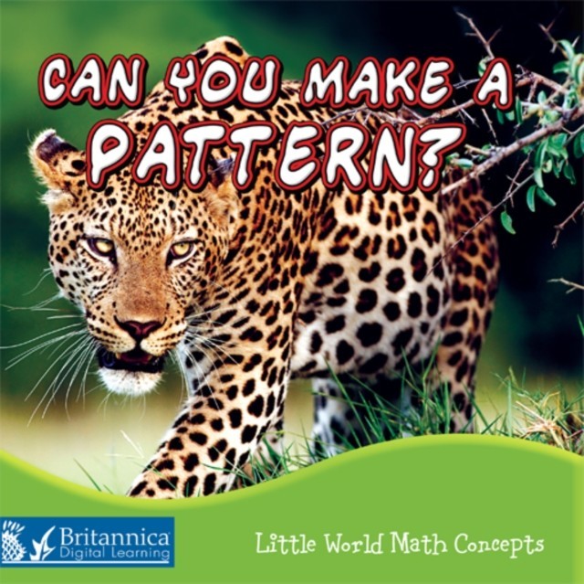 Can You Make a Pattern? main product photo