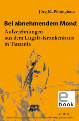 Bei abnehmendem Mond