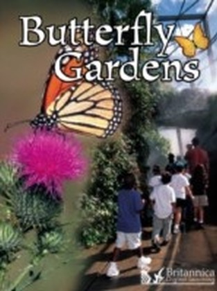 Butterfly Gardens