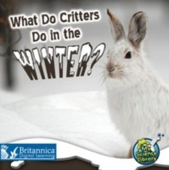What Do Critters Do in the Winter?