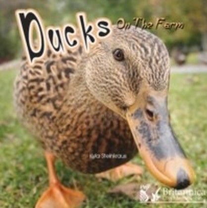 Ducks on the Farm main product photo