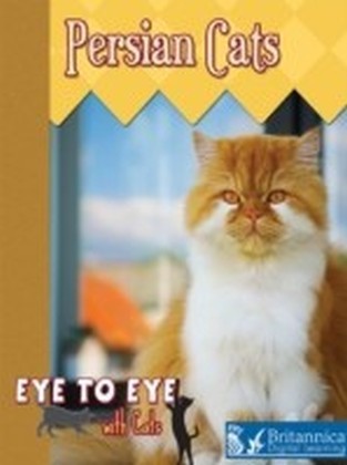 Persian Cats