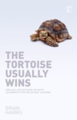 Tortoise Usually Wins main product photo