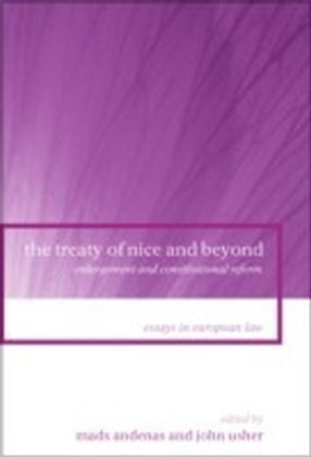 Treaty of Nice and Beyond