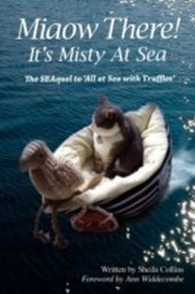 Miaow There!