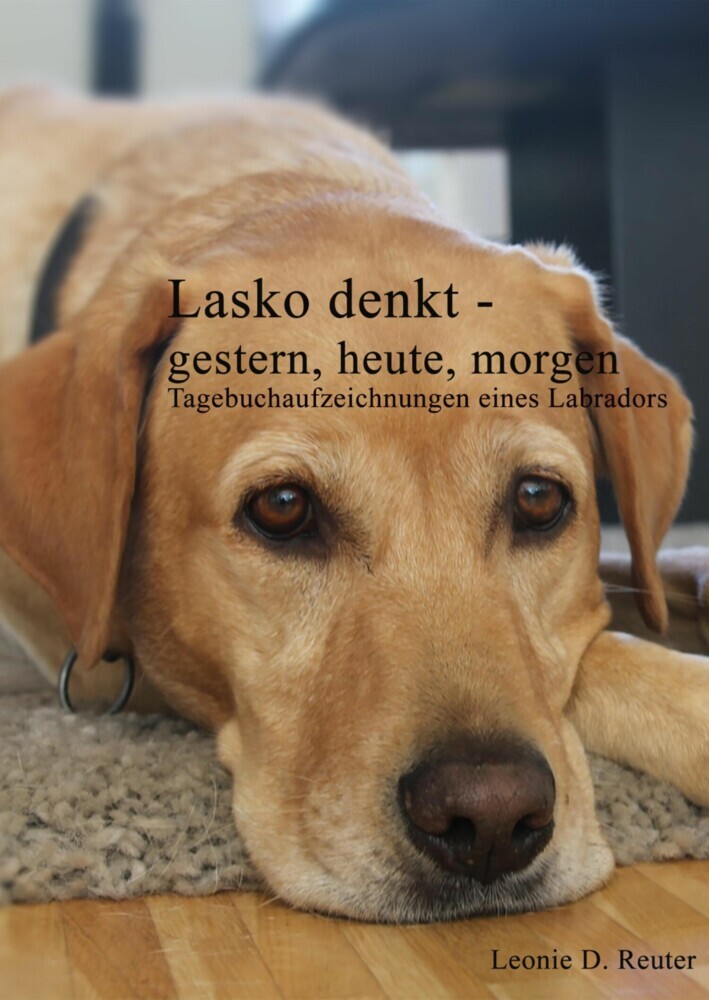 Lasko denkt -gestern, heute, morgen main product photo