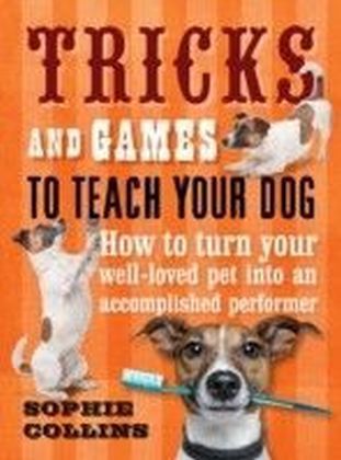 Tricks and Games to Teach Your Dog