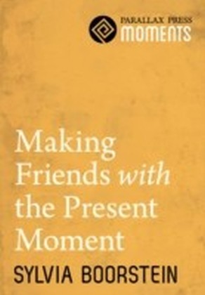 Making Friends with the Present Moment main product photo