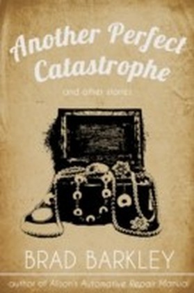 Another Perfect Catastrophe main product photo