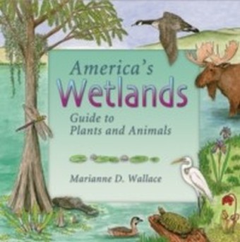 America's Wetlands