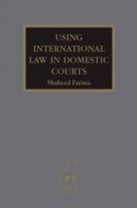 Using International Law in Domestic Courts main product photo
