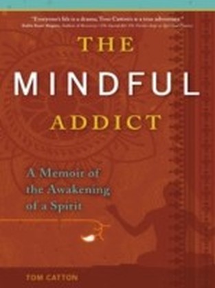 Mindful Addict main product photo