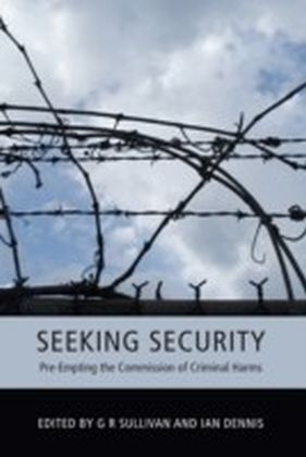 Seeking Security main product photo