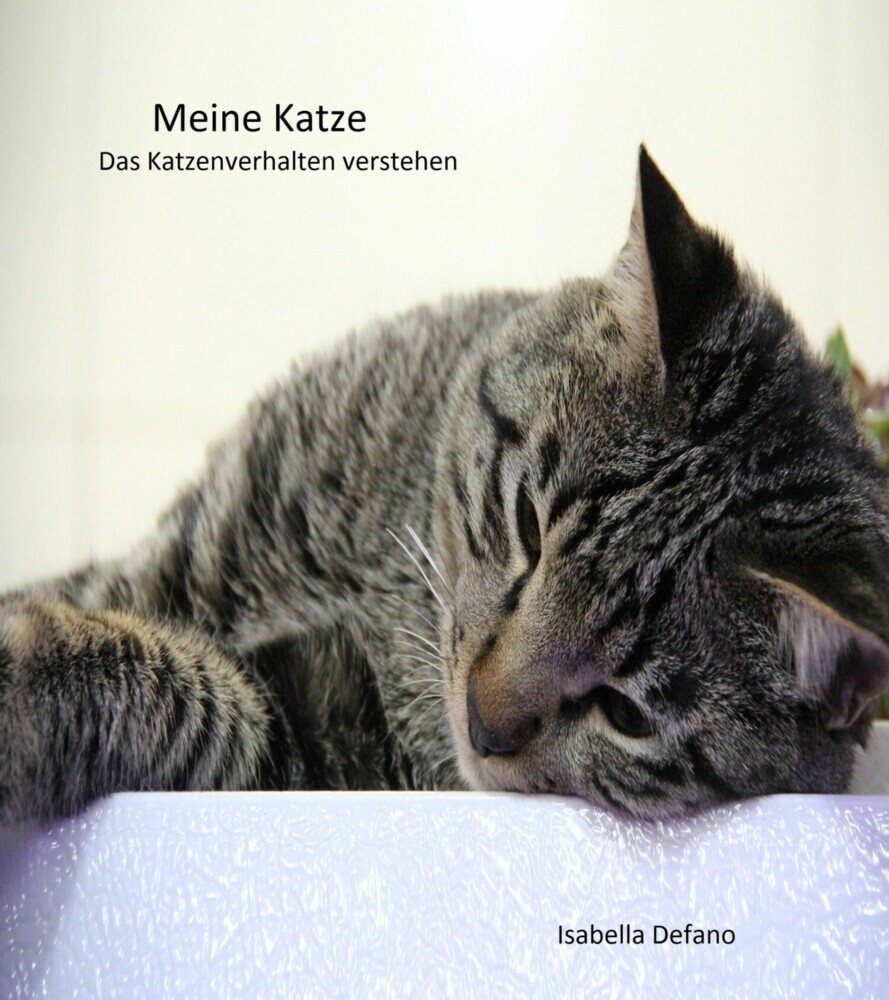 Meine Katze main product photo