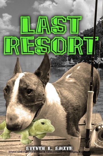 Last Resort main product photo