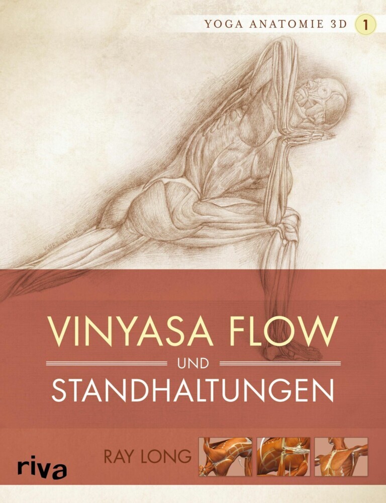 Yoga-Anatomie 3D main product photo