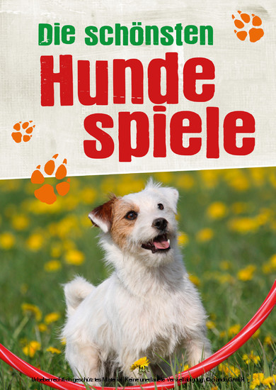 Die schönsten Hundespiele main product photo